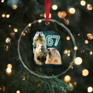 67 Meme Groundhog Crystal Glass Ornament Howling At The Moon Funny Six Seven Meme Ground Hog Day TS10 Print Your Wear