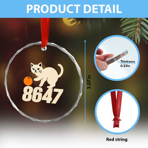 8647 FDT Crystal Glass Ornament Funny Cat Political Meme TS14 Print Your Wear