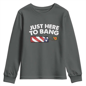 Funny 4th July Just Here To Bang Youth Sweatshirt USA Fireworks American Flag TS10 Dark Heather Print Your Wear