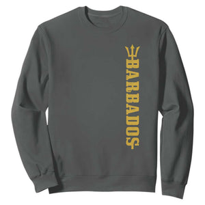 Funny Bajan Pride Barbados Trident Sweatshirt TS11 Dark Heather Print Your Wear