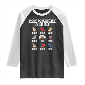 Funny Bird Watching Raglan Shirt How To Identify A Bird TS02 Black White Print Your Wear