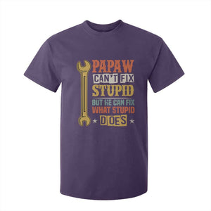Funny Papaw Can't Fix Stupid But He Can Fix What Stupid Does T Shirt For Kid Grandpa Father's Day TS11 Purple Print Your Wear