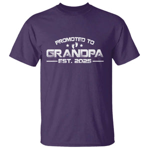 Grandpa Est 2025 T Shirt New Grandpa Father's Day Gift TS10 Purple Print Your Wear