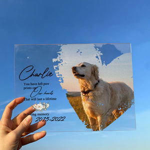 Personalized Photo Acrylic Plaque You Have Left Paw Prints On Our Hearts Memorial Gift For Pet Loss Owners, Dog Mom, Dog Dad, Cat Mom, Cat Dad CTM Custom - Printyourwear