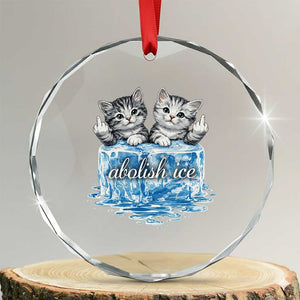 Abolish Ice Crystal Glass Ornament Cute Cat Melting Ice Pro Immigrant TS11 Transparent Glass 3'' Circle Print Your Wear