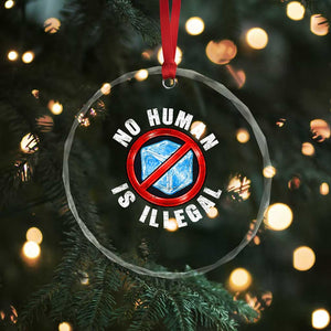Abolish Ice No Human is Illegal Crystal Glass Ornament Retro Protest Subtle FDT TS10 Print Your Wear