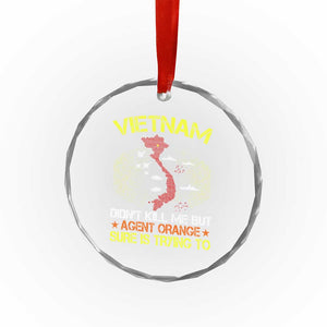 Agent Orange Dioxin Crystal Glass Ornament Vietnam Veteran Vet Gifts TS10 Print Your Wear