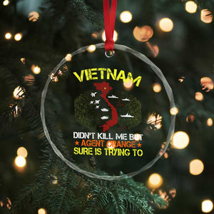 Agent Orange Dioxin Crystal Glass Ornament Vietnam Veteran Vet Gifts TS10 Print Your Wear