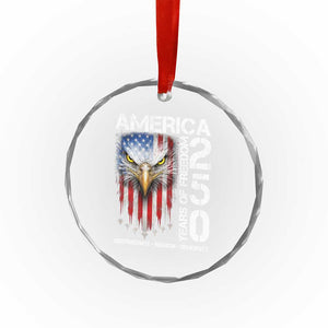 America 250 Years Of Freedom Crystal Glass Ornament USA Anniversary Bald Eagle Patriotic Jets TS11 Print Your Wear