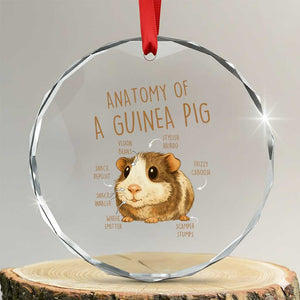 Anatomy Of A Guinea Pig Crystal Glass Ornament Funny Cavy Lover Animal Anatomy Gift TS12 Transparent Glass 3'' Circle Print Your Wear