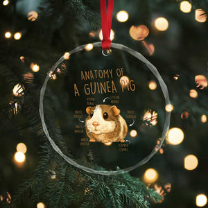 Anatomy Of A Guinea Pig Crystal Glass Ornament Funny Cavy Lover Animal Anatomy Gift TS12 Print Your Wear