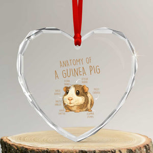 Anatomy Of A Guinea Pig Heart Crystal Glass Ornament Funny Cavy Lover Animal Anatomy Gift TS12 Transparent Glass 3'' Heart Print Your Wear