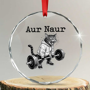 Aur Naur Raccoon Meme Crystal Glass Ornament Funny Sarcastic Oh No Australian Accent TS14 Transparent Glass 3'' Circle Print Your Wear
