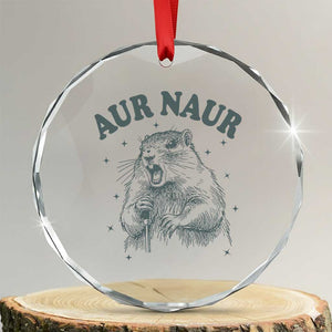 Aur Naur Groundhog Meme Crystal Glass Ornament Funny Sarcastic Oh No Australian Accent TS14 Transparent Glass 3'' Circle Print Your Wear
