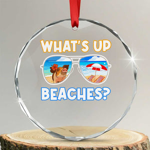 Bahamas Swimming Pigs Crystal Glass Ornament Pig Swim Caribbean Beach Summer Vacation TS10 Transparent Glass 3'' Circle Print Your Wear