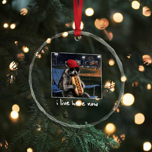 Baseball Raccoon I Live Here Now Crystal Glass Ornament Funny Trash Panda Eating Hot Dog Ballfield TS11 Print Your Wear