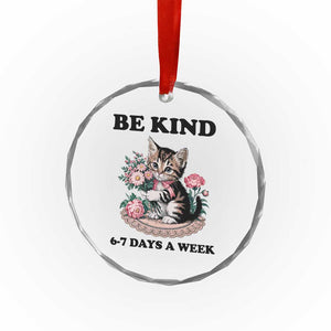 Be Kind 6 7 Days a Week Crystal Glass Ornament Funny Six Seven Cat Teacher Meme TS14 Print Your Wear