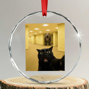Black Cat Selfie with Dinosaur in The Backrooms Liminal Space Graphic Crystal Glass Ornament Liminal Space Urban Legend Meme TS10 Transparent Glass 3'' Circle Print Your Wear