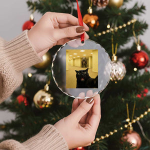 Black Cat Selfie with Dinosaur in The Backrooms Liminal Space Graphic Crystal Glass Ornament Liminal Space Urban Legend Meme TS10 Print Your Wear