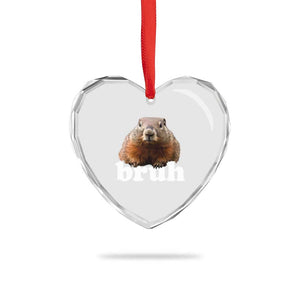 Bruh Groundhog Heart Crystal Glass Ornament Funny Woodchuck Youth Teens Kids Slang TS10 Print Your Wear
