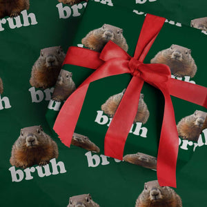Bruh Groundhog Wrapping Paper Roll Funny Woodchuck Youth Teens Kids Slang TS10 Green Print Your Wear