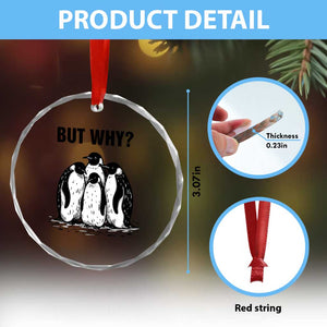 But Why Penguin Crystal Glass Ornament Funny Nihilist Hiking TS14 Print Your Wear