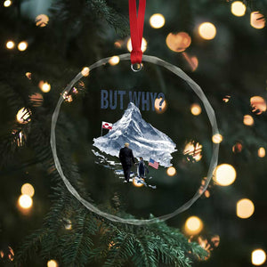 But Why Penguin Crystal Glass Ornament Head Towards The Mountains Penguin Meme TS14 Print Your Wear