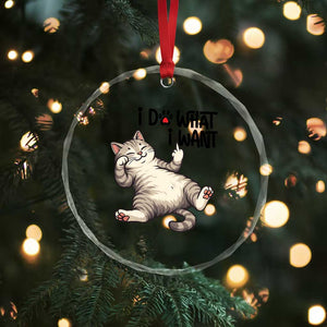 Cat Lover Crystal Glass Ornament Funny I Do What I Want TS12 Print Your Wear