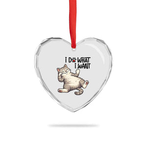 Cat Lover Heart Crystal Glass Ornament Funny I Do What I Want TS12 Print Your Wear