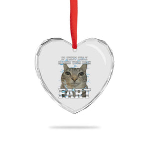 Cat Meme If They Talk Behind Your Back Fart Heart Crystal Glass Ornament Funny Oddly Specific TS10 Print Your Wear