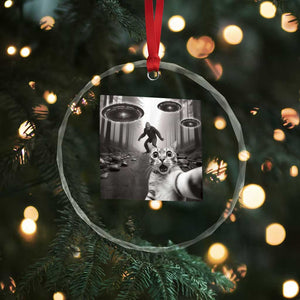 Cat Selfie With Bigfoot UFO Crystal Glass Ornament Funny Cat Lover Gifts TS10 Print Your Wear