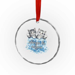 Chinga La Migra Crystal Glass Ornament Cute Cat Melting Ice Pro Immigrant TS11 Print Your Wear