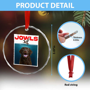 Chocolate Labrador Retriever Crystal Glass Ornament Funny Jowls Horror Dog Poster TS12 Print Your Wear