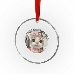 Consider Your Pants Peed Crystal Glass Ornament Funny Cat Meme Saying TS12 Print Your Wear