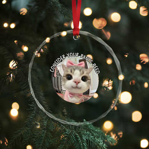 Consider Your Pants Peed Crystal Glass Ornament Funny Cat Meme Saying TS12 Print Your Wear
