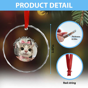 Consider Your Pants Peed Crystal Glass Ornament Funny Cat Meme Saying TS12 Print Your Wear
