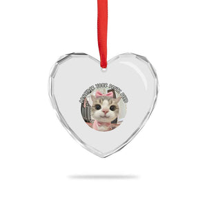 Consider Your Pants Peed Heart Crystal Glass Ornament Funny Cat Meme Saying TS12 Print Your Wear