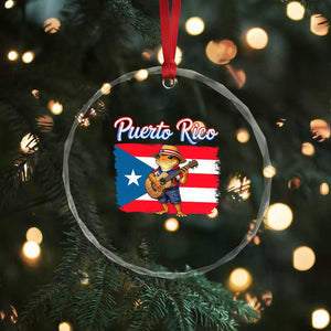 Coqui Frog Puerto Rico Flag Crystal Glass Ornament Puerto Rican Taino Boricua