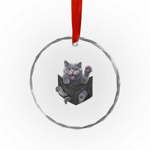 Cute British Shorthair Cat In Pocket Crystal Glass Ornament Cat Lover TS12 Print Your Wear