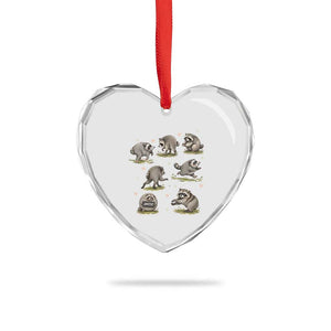 Cute Jimothy The Raccoon Heart Crystal Glass Ornament Viral Seattle Wildlife Trash Panda Gift