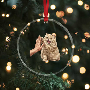 Cute Persian Cat High Five Crystal Glass Ornament Cat Lover TS12 Print Your Wear
