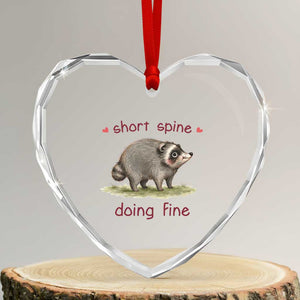 Cute Watercolor Jimothy the Raccoon Inspirational Heart Crystal Glass Ornament Short Spine Doing Fine Viral Seattle Trash Panda Supporter