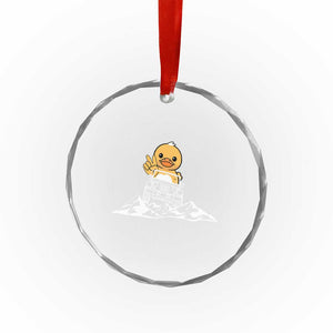 Duck Offroad Car Crystal Glass Ornament Funny Off Roading ATV Off Road TS10 Print Your Wear