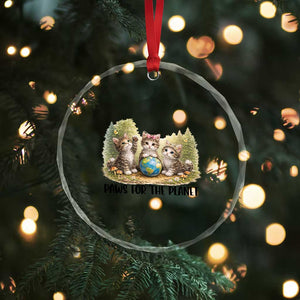Earth Day Cat Lover Crystal Glass Ornament Paws For The Planet TS12 Print Your Wear