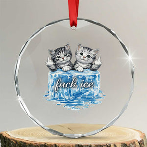 Fck Ice Crystal Glass Ornament Cute Cat Melting Ice Pro Immigrant TS11 Transparent Glass 3'' Circle Print Your Wear