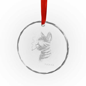 Fck Ice Crystal Glass Ornament Funny Cat Smoking Anti ICE Meme TS14 Print Your Wear