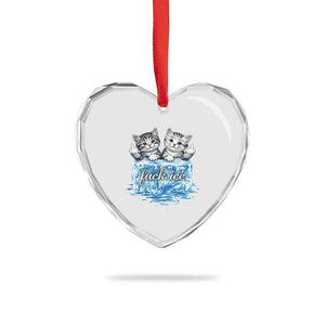 Fck Ice Heart Crystal Glass Ornament Cute Cat Melting Ice Pro Immigrant TS11 Print Your Wear