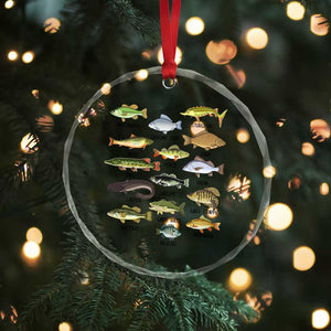 Freshwater Fish Species Crystal Glass Ornament Funny Fishing Types Fisherman Dad TS02 Print Your Wear