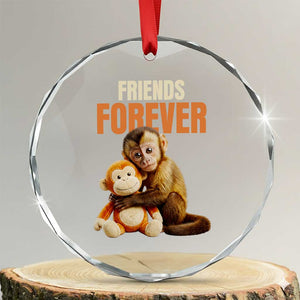 Friends Forever Viral Punch The Monkey Crystal Glass Ornament Cute Baby Monkey Hugging Plush Toy Best Friend Gift TS02 Transparent Glass 3'' Circle Print Your Wear
