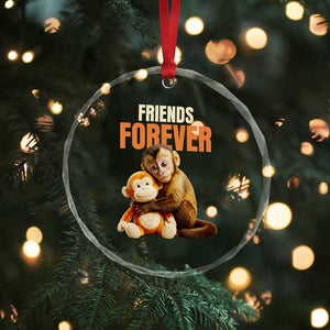 Friends Forever Viral Punch The Monkey Crystal Glass Ornament Cute Baby Monkey Hugging Plush Toy Best Friend Gift TS02 Print Your Wear